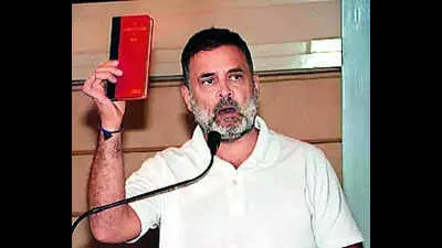 Bihar Poll Results: Rahul Gandhi Calls